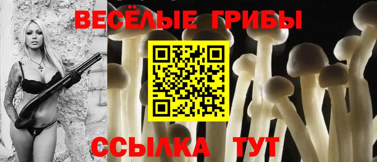 Галлюциногенные грибы мицелий Гай