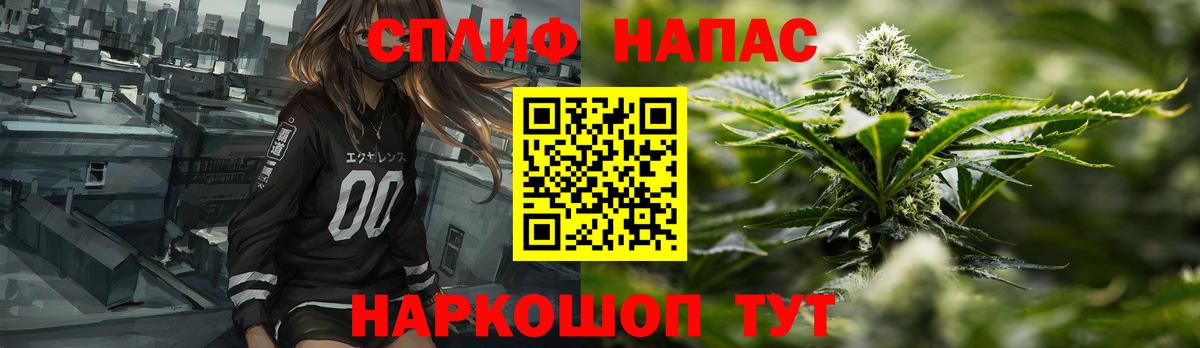 Гай  Марихуана планчик  Вход с VPN  Конопля SATIVA & INDICA 